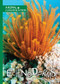 Echinoderms by Joanna Brundle, 9781534530300