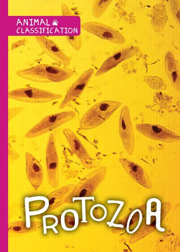 Protozoa - 9781534530539 by Joanna Brundle, 9781534530539