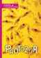 Protozoa - 9781534530539 by Joanna Brundle, 9781534530539