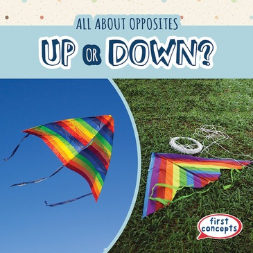 Up or Down? - 9781538237342 by Rory McDonnell, 9781538237342