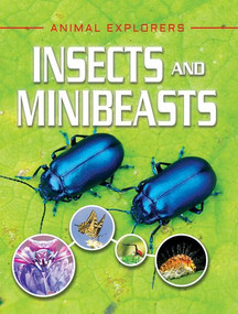 Insects and Minibeasts - 9781978509856 by Michael Leach, Meriel Lland, 9781978509856