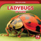 Ladybugs Up Close - 9781725307988 by Therese M. Shea, 9781725307988