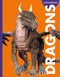 Curious about Dragons by Gina Kammer, 9781681526935