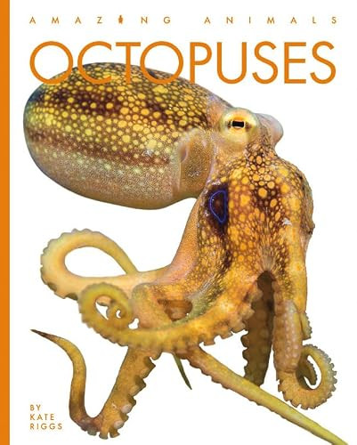 Octopuses - 9781682771266 by Kate Riggs, 9781682771266
