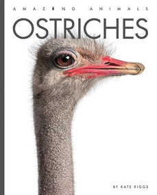 Ostriches - 9781682771273 by Kate Riggs, 9781682771273