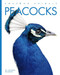 Peacocks - 9781682771280 by Valerie Bodden, 9781682771280