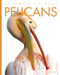 Pelicans - 9781682771297 by Valerie Bodden, 9781682771297