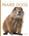 Prairie Dogs - 9781682771303 by Valerie Bodden, 9781682771303