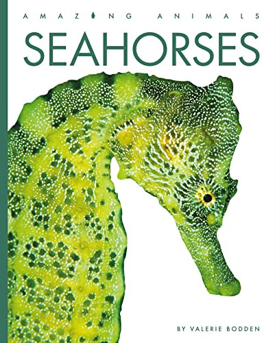 Seahorses - 9781682771327 by Valerie Bodden, 9781682771327