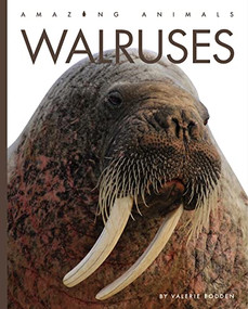 Walruses - 9781682771365 by Valerie Bodden, 9781682771365