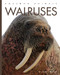 Walruses - 9781682771365 by Valerie Bodden, 9781682771365
