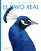 El pavo real by Kate Riggs, 9781682771402