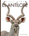 El antílope by Kate Riggs, 9781682772430