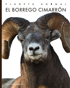 El borrego cimarrón by Valerie Bodden, 9781682772447