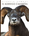 El borrego cimarrón by Valerie Bodden, 9781682772447