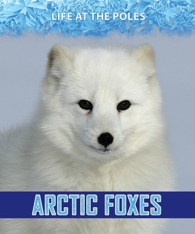 Arctic Foxes - 9781978512016 by Kathy Furgang, 9781978512016