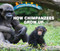How Chimpanzees Grow Up - 9781978512252 by Linda Bozzo, 9781978512252