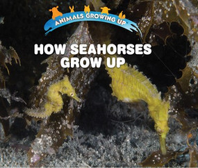How Seahorses Grow Up - 9781978512375 by Linda Bozzo, 9781978512375