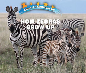 How Zebras Grow Up - 9781978512535 by Linda Bozzo, 9781978512535