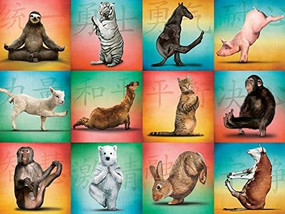 Animal Yoga 500-Piece Puzzle by Willow Creek Press, 9781682348888