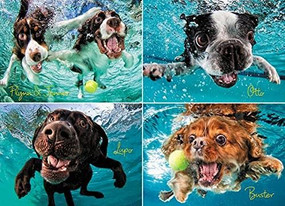 Underwater Dogs: Ruff Water 1000-Piece Puzzle by Seth Casteel, 9781682349205