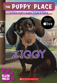 Ziggy (The Puppy Place #21) by Ellen Miles, 9780545253956