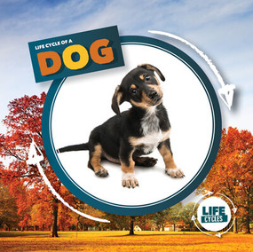 Life Cycle of a Dog by Kirsty Holmes, 9781534539945
