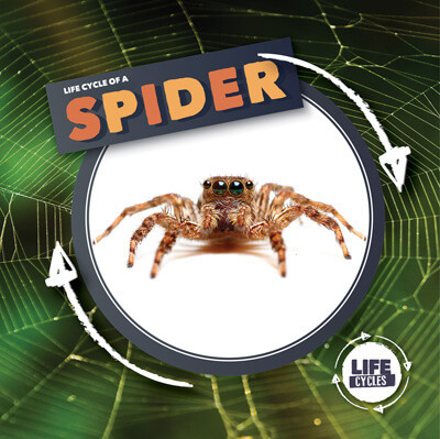 Life Cycle of a Spider - 9781534540040 by Kirsty Holmes, 9781534540040