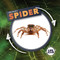 Life Cycle of a Spider - 9781534540040 by Kirsty Holmes, 9781534540040