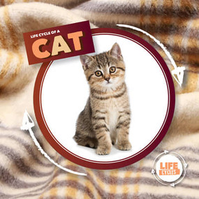 Life Cycle of a Cat by Kirsty Holmes, 9781534540101