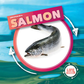 Life Cycle of a Salmon by Kirsty Holmes, 9781534540149