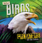 Killer Birds by Mignonne Gunasekara, 9781538274194