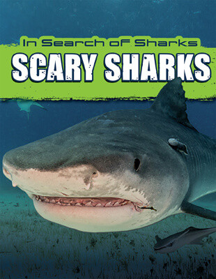 Scary Sharks - 9781725332690 by David Thompson, 9781725332690