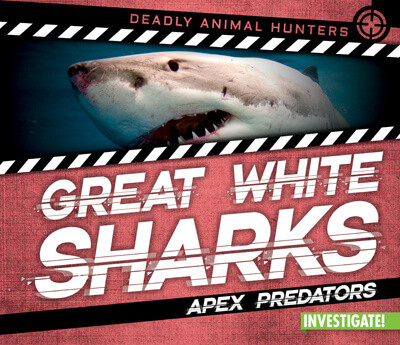 Great White Sharks: Apex Predators by Charlotte Taylor, 9781978522107