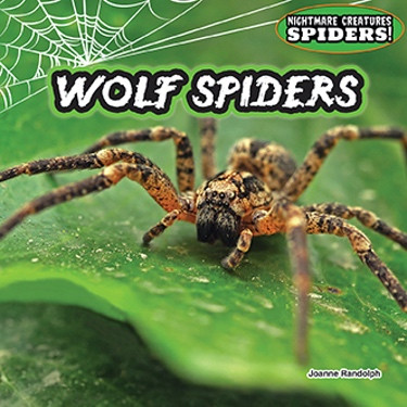 Wolf Spiders - 9781477728901 by Joanne Randolph, 9781477728901