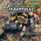Tarantulas - 9781477728918 by Joanne Randolph, 9781477728918