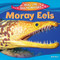 Moray Eels - 9781477762530 by Ruth Owen, 9781477762530