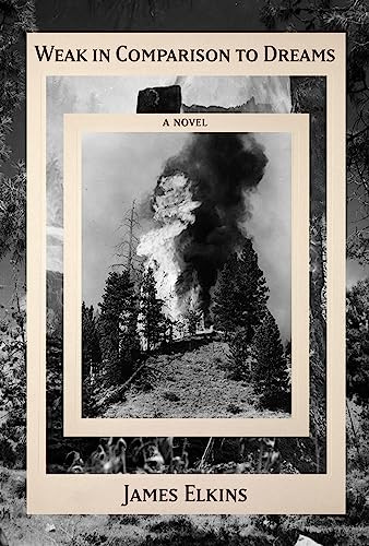 Weak in Comparison to Dreams by James Elkins, 9781951213725