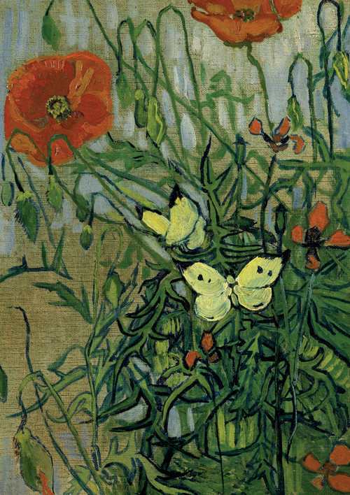 Van Gogh's Butterflies and Poppies Notebook by Vincent Van Gogh, 9780486846200