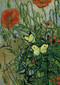 Van Gogh's Butterflies and Poppies Notebook by Vincent Van Gogh, 9780486846200