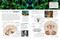 Eyewitness Human Body - 9780744079913 by DK