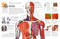Eyewitness Human Body - 9780744079920 by DK