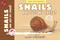 Snails Are Just My Speed! (TOON Level 1) by Kevin McCloskey, 9781662665110
