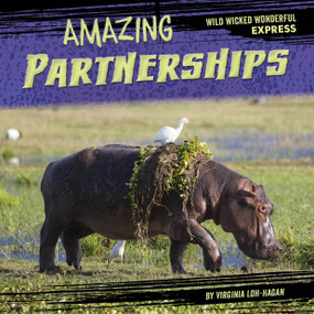 Amazing Partnerships by Virginia Loh-Hagan, 9781668919729
