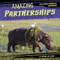 Amazing Partnerships by Virginia Loh-Hagan, 9781668919729
