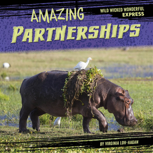 Amazing Partnerships - 9781668920749 by Virginia Loh-Hagan, 9781668920749