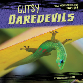 Gutsy Daredevils by Virginia Loh-Hagan, 9781668919743