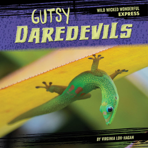 Gutsy Daredevils by Virginia Loh-Hagan, 9781668919743