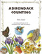 Adirondack Counting Book by Sheri Amsel, 9780925168634