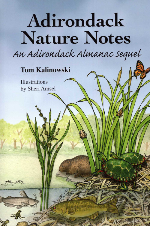 Adirondack Nature Notes (An Adirondack Almanac Sequel) by Tom Kalinowski, 9781595310347